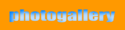 photogallery 